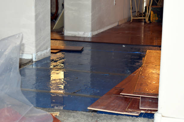Professional Burst Pipe Cleanup technician working in Pelham, NY